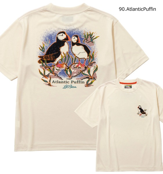 L.L.Bean Japan Edition ���륨��ӡ��� ����ѥ󥨥ǥ������ ���˥ޥ�ץ���T����� Dover Foxcroft Short-Sleeve Tee 6275-4048�ڥ���å��ݥ��Ȳġ�