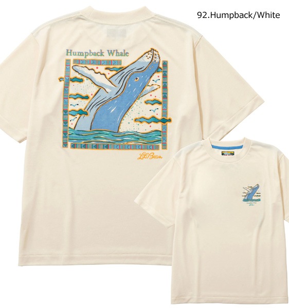 L.L.Bean Japan Edition ���륨��ӡ��� ����ѥ󥨥ǥ������ ���˥ޥ�ץ���T����� Dover Foxcroft Short-Sleeve Tee 6275-4048�ڥ���å��ݥ��Ȳġ�