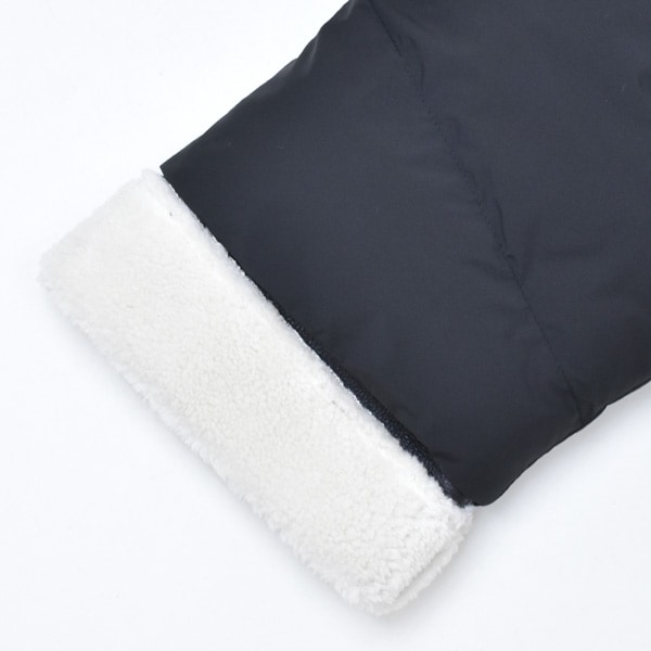 PASSIONE �ѥ������� �ա����դ��쥤�䡼�ɥ����󥸥㥱�å� 546427 ��ǥ�����������̵����