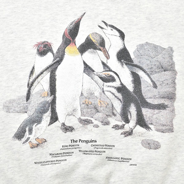 Oblada ���֥�� PENGUINES SWEAT �ڥ󥮥�ץ��ȥ������å� S2610CU12������̵����