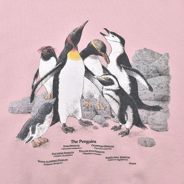 Oblada ���֥�� PENGUINES SWEAT �ڥ󥮥�ץ��ȥ������å� S2610CU12������̵����