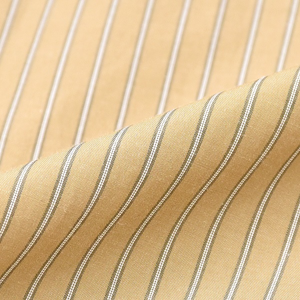 ACUTA �������� ���ȥ饤��µ��֥ݥ���祷��� Ĺµ 10003666 ��ǥ�����������̵����