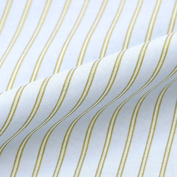 ACUTA �������� ���ȥ饤��µ��֥ݥ���祷��� Ĺµ 10003666 ��ǥ�����������̵����