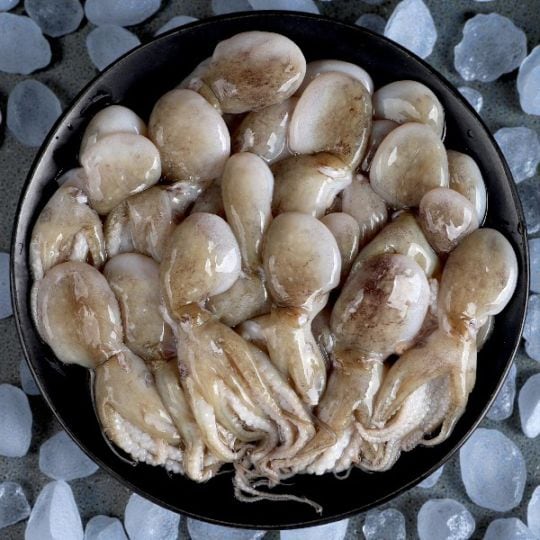 [凍]冷凍イイダコ1kg/下処理済み バラ凍結で使いやすい タコ たこ 蛸