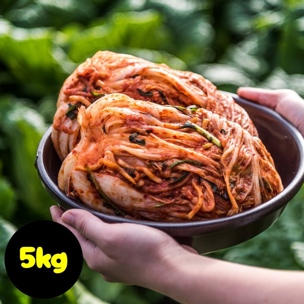 [冷] 韓国産 業務用 キムチ イェソダム 白菜キムチ 5kg /  【入荷日：7月17日】白菜キムチ