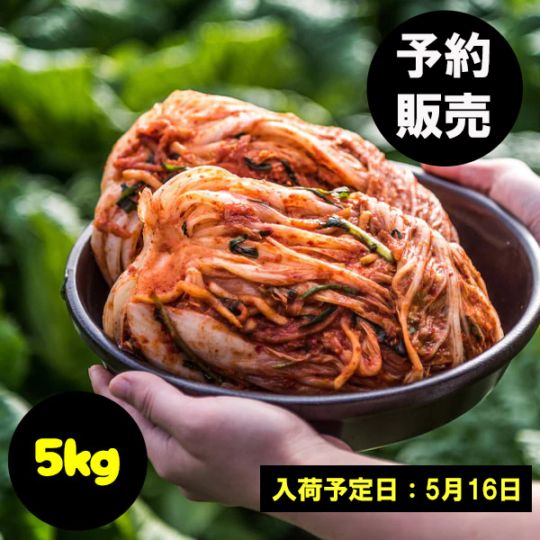 冷]【予約販売】イェソダム 白菜キムチ 5kg/ ※発送予定日：5月16日