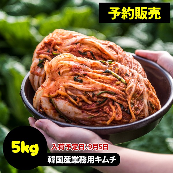 冷]【予約販売】イェソダム 白菜キムチ 5kg/ ※発送予定日：9月5日