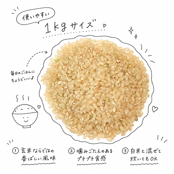 茨城県産 玄米 1kg|国産米 お米 玄米ごはん