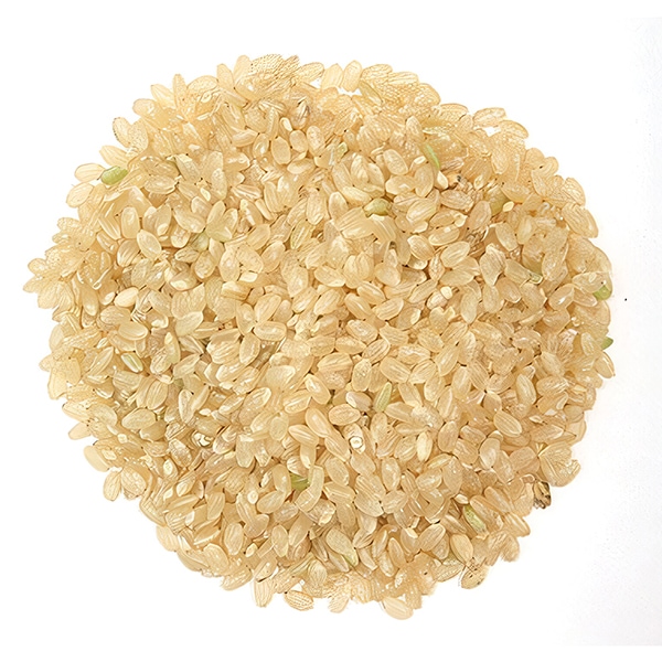 茨城県産 玄米 1kg|国産米 お米 玄米ごはん