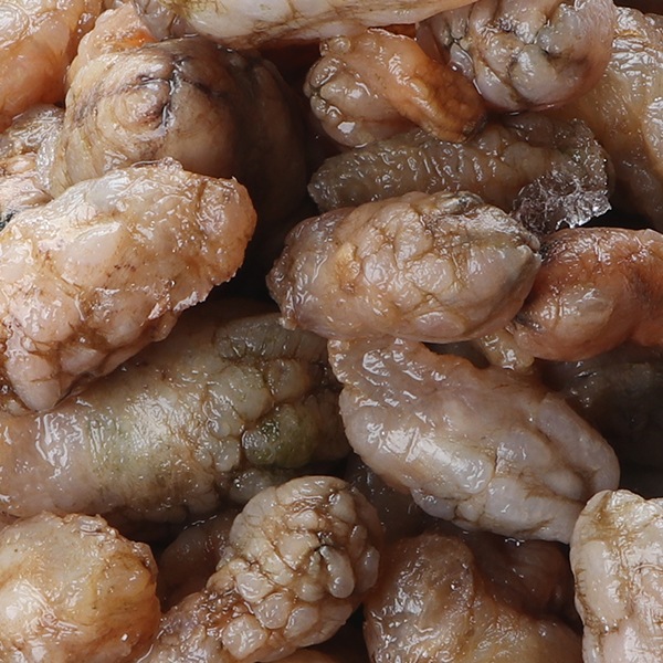 [凍] 冷凍 韓国産 エボヤ 500g /  海産物 韓国市場 魚介類 お鍋 海鮮鍋 韓国料理 韓国食材 韓国食品