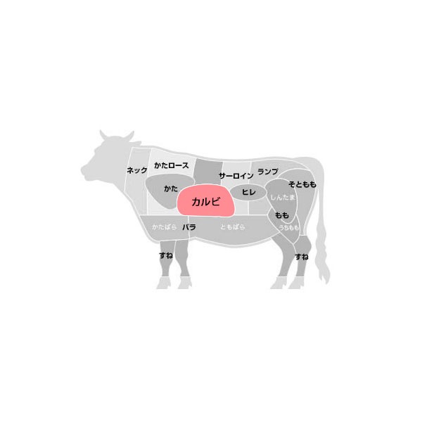 [凍]ピョルチンカルビ(ボーンインショートリブ)1kg/ アメリカ産　焼肉