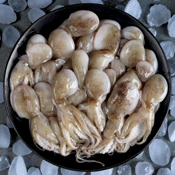 [凍]冷凍イイダコ1kg/下処理済み バラ凍結で使いやすい タコ たこ 蛸