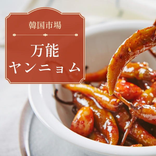 [ニューグリーン] 万能ソース 2kg / 韓国料理　調味料