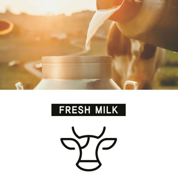 [ナムヤン]フレンチカフェコーヒーミックス100本/インスタントコーヒー 韓国コーヒー 韓国飲料 韓国飲み物 韓国食品