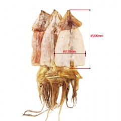 干しするめイカ3匹-韓国産