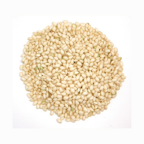 もち玄米5kg-茨城産