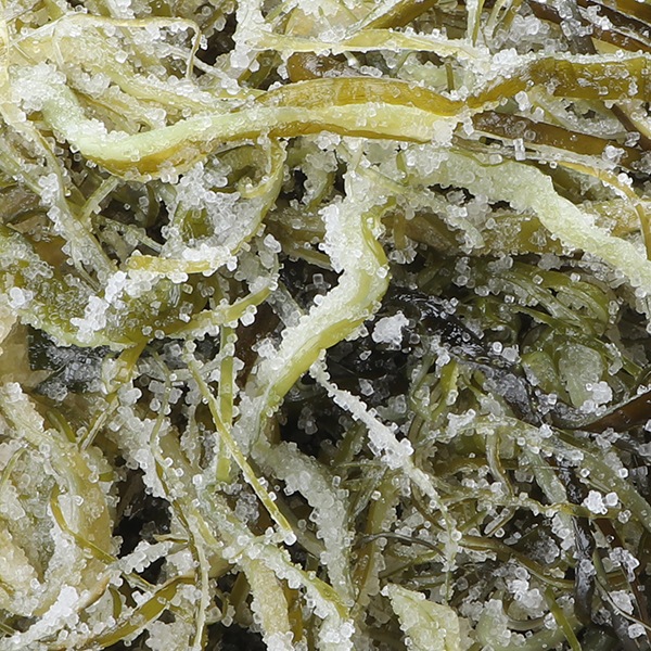 [冷]ワカメつる400g/海産物 韓国食材 海藻