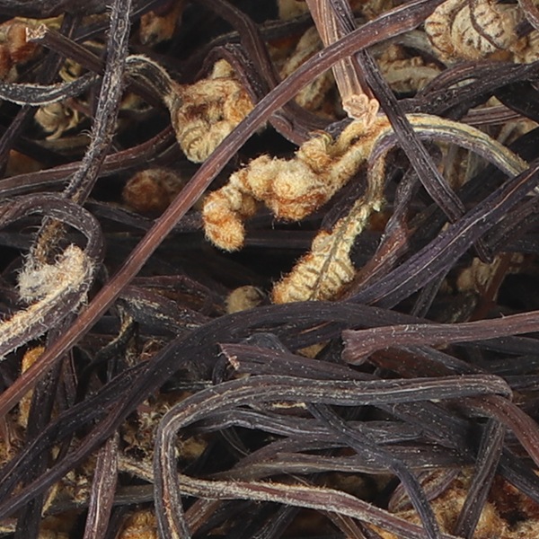 干しわらび100ｇ/中国産