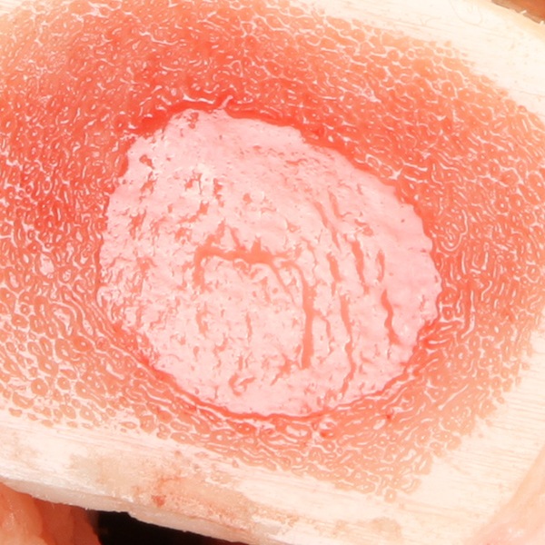 [凍]牛骨 ゲンコツ/日本産　約1kg