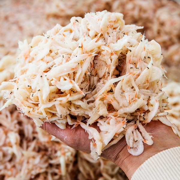 [凍]カンチョン アミの塩辛500g/ベトナム産 セウジョッ 調味料 キムチ 塩辛 キムチ調味料