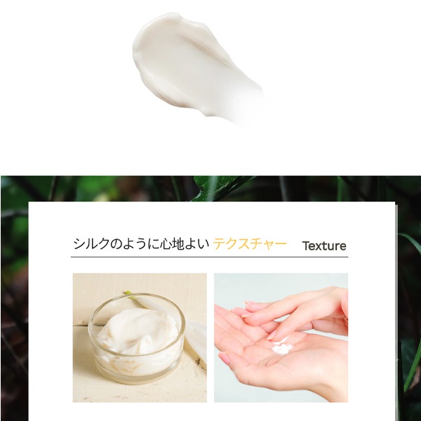 [the saem]ザ セム スネイル エッセンシャル EX クリーム 50ml
