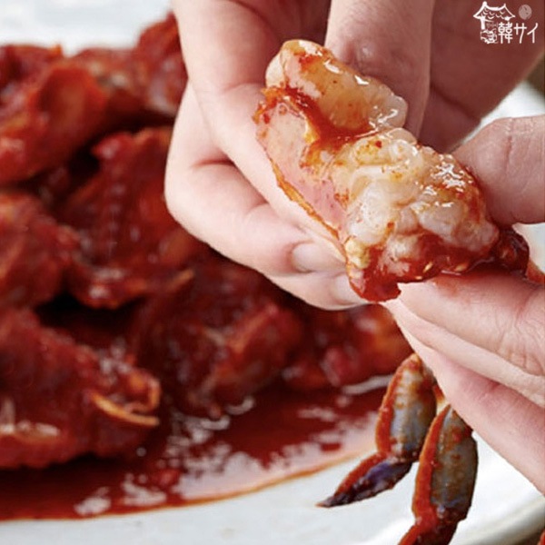 ヤンニョム ヤンニョムゲジャン】 200g » 東京ガーデン