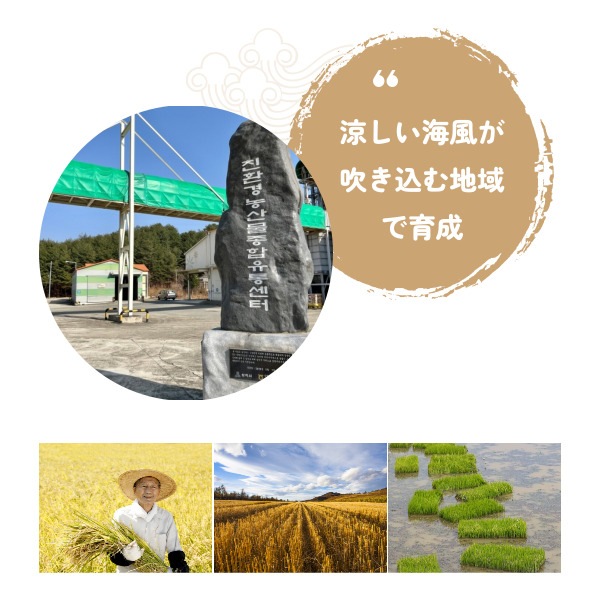 [三陟童子] 韓国産 お米 10kg / 韓国産　