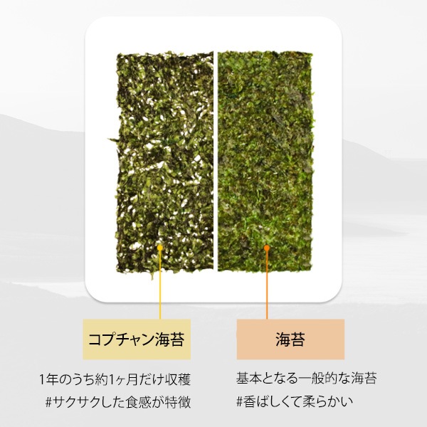 [大川］コプチャン 味付け 海苔 1缶 / 厚切り 香ばし 韓国のり