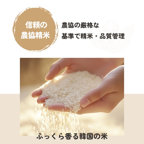 [三陟童子] 韓国産 お米 20kg (10kgX2個) / 韓国産 白米