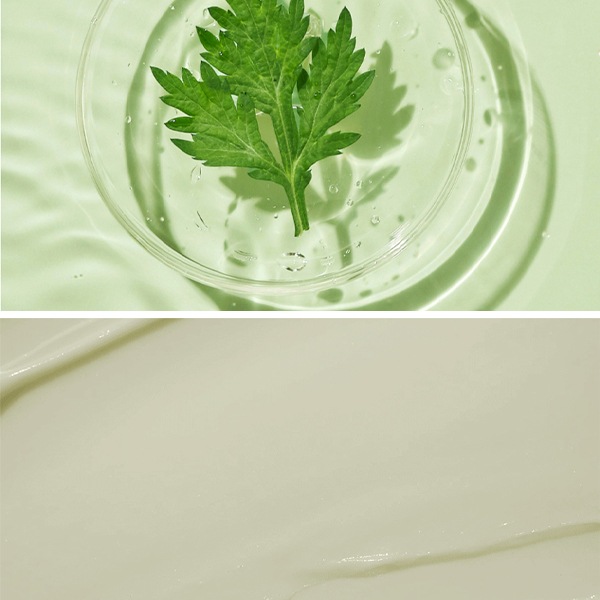 [ROUND LAB]ラウンドラボ 海風 ヨモギ クレンザー150ml /洗顔