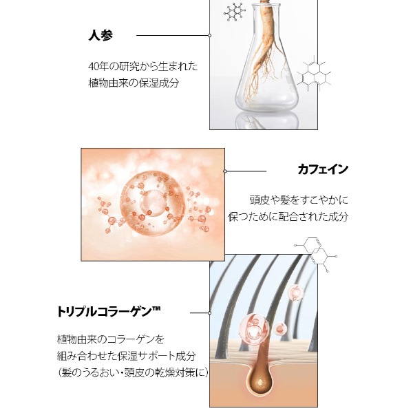 [呂] ダメージケア＆ナリシング トリートメント 300ml /韓 国 化粧品 ヘア エッセンス ヘアケア