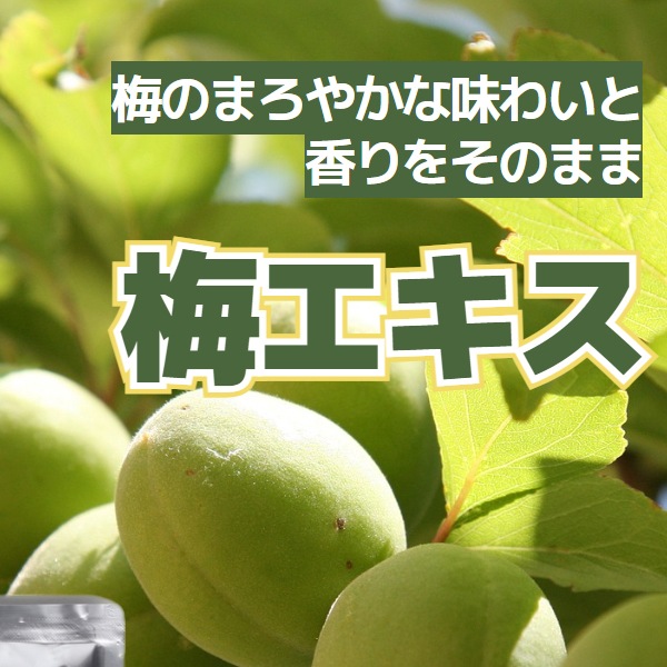 梅エキス1kg