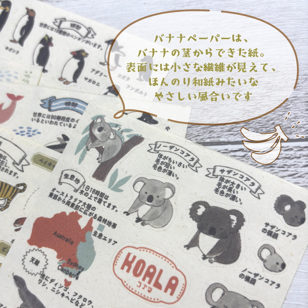 バナナペーパーシートシール 動物園のアイドル図鑑 ゾウ