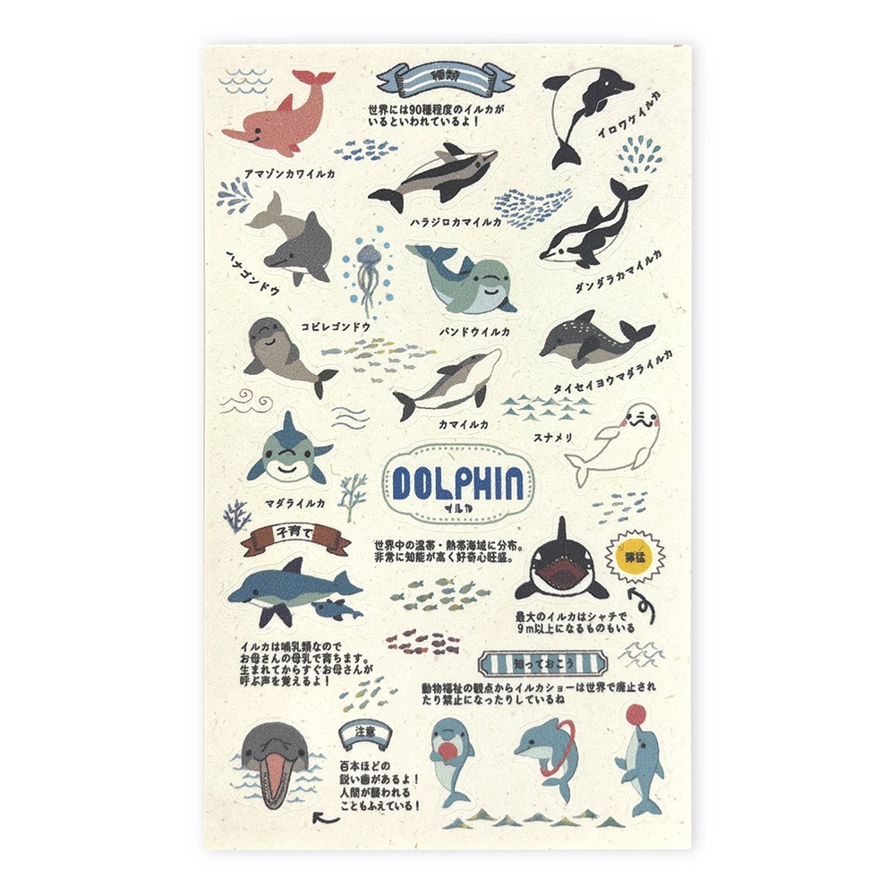 バナナペーパーシートシール 動物園のアイドル図鑑 イルカ