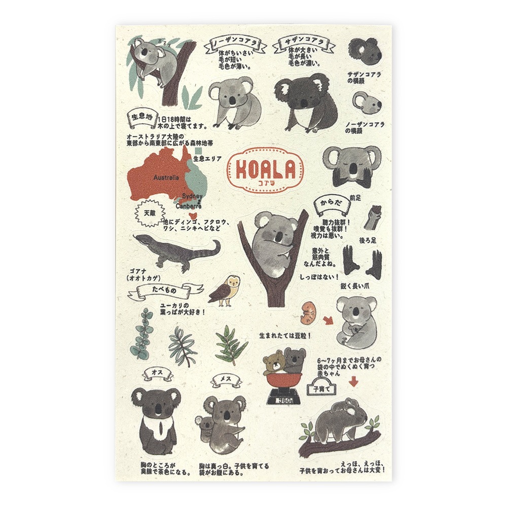 バナナペーパーシートシール 動物園のアイドル図鑑 コアラ