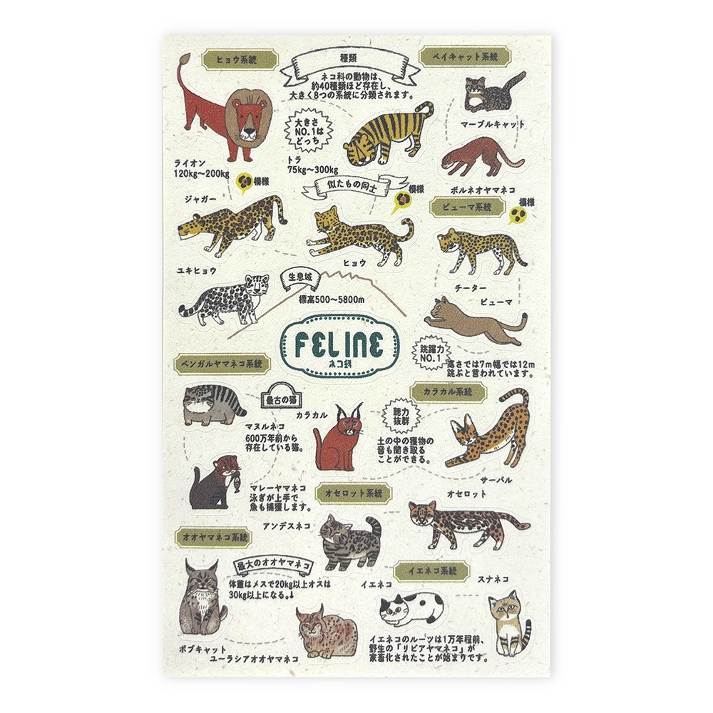 バナナペーパーシートシール 動物園のアイドル図鑑 ネコ科