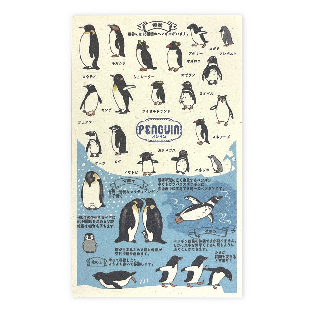 バナナペーパーシートシール 動物園のアイドル図鑑 ペンギン