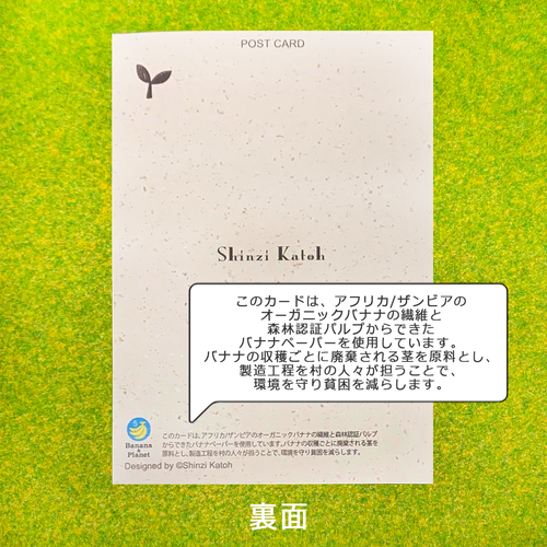 絶滅危惧種 バナナペーパーポストカード Forest meeting