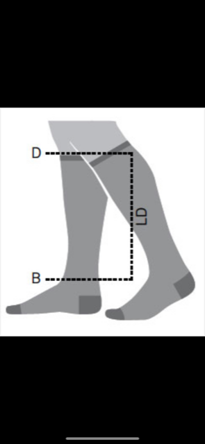 SKYWALK／スカイウォーク