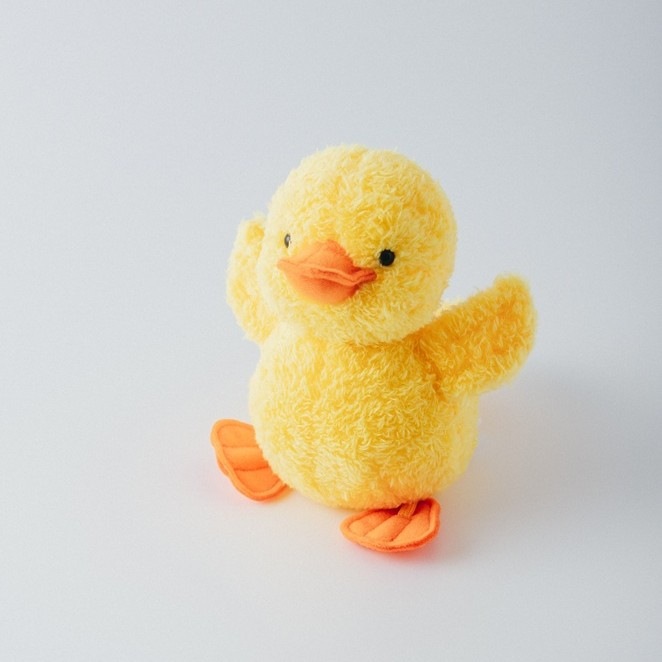 ミレイ《あひるの子》<br>あひるのぬいぐるみ | 新商品 | 国立