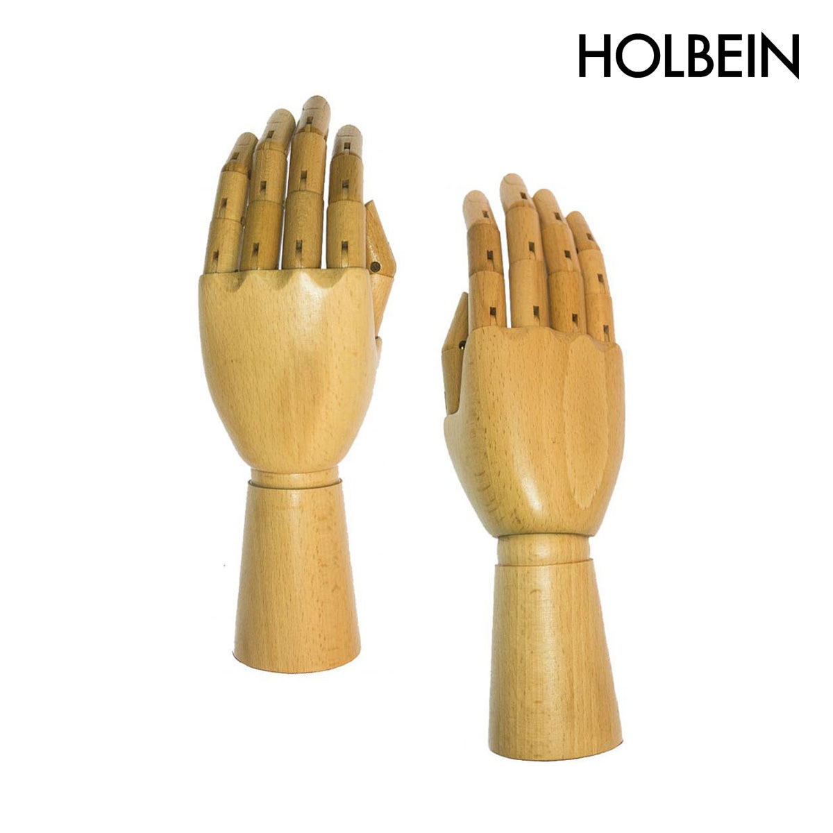 ホルベイン 手のモデル 男 左/右