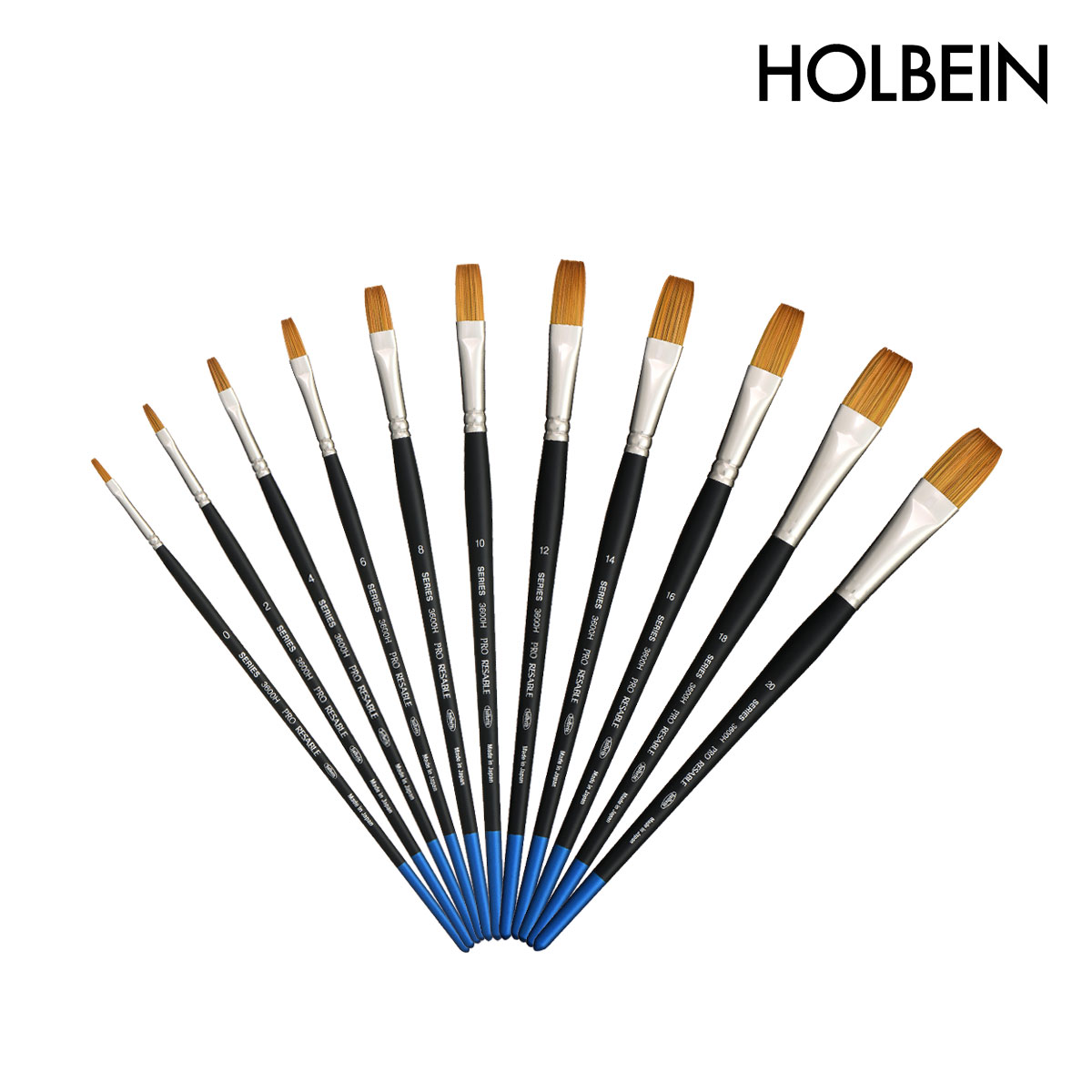 ホルベイン 水彩画筆 プロリセーブル 3600H (フィルバート) 0号-20号