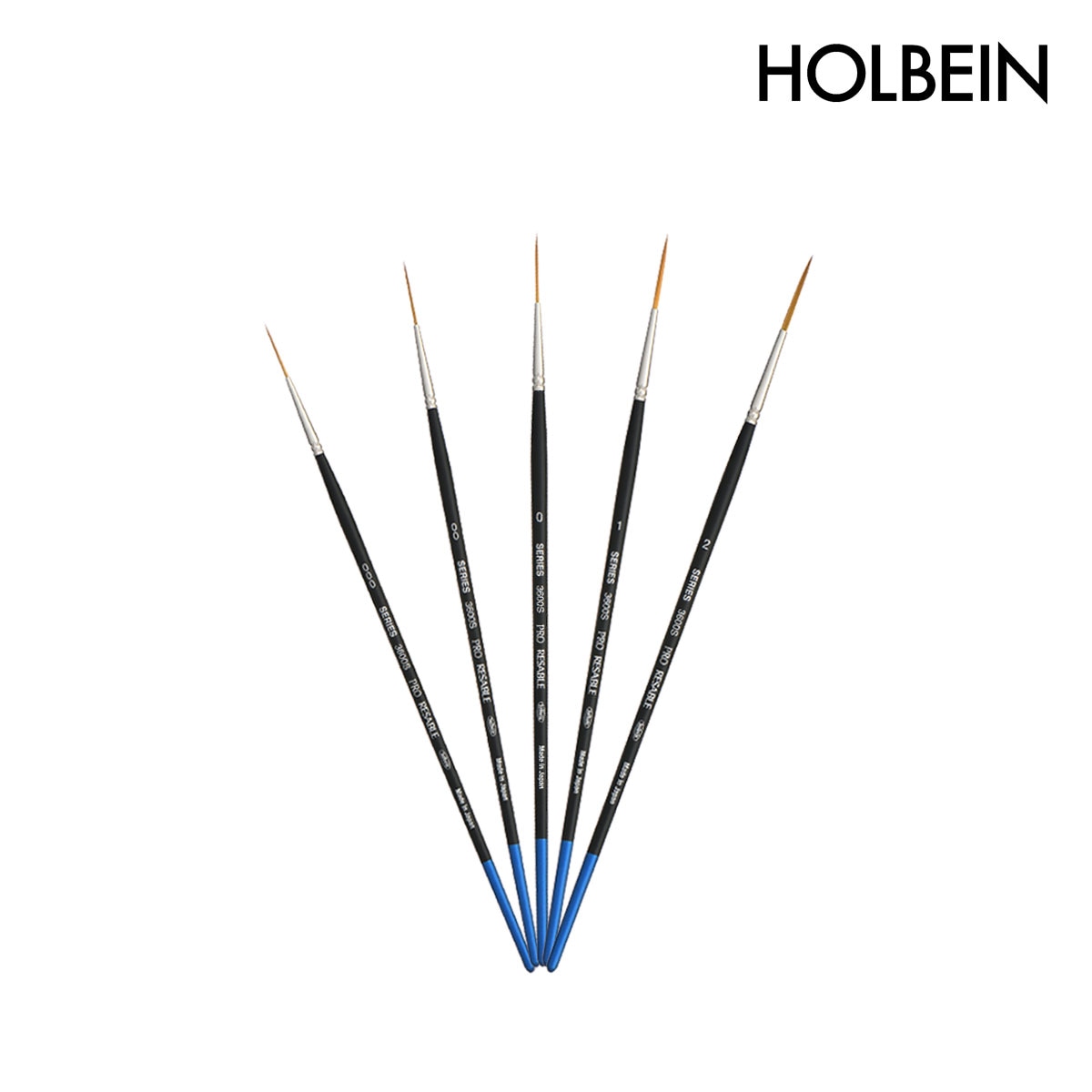 ホルベイン 水彩画筆 プロリセーブル 3600S (スクリプト) 000号-2号
