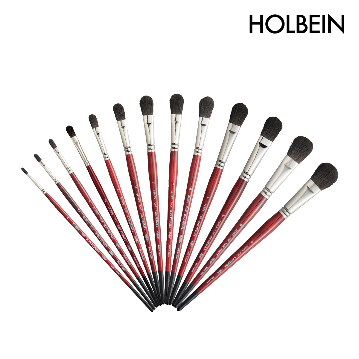 ホルベイン 水彩画筆 ブラックリセーブル 700F フィルバート 0号-24号