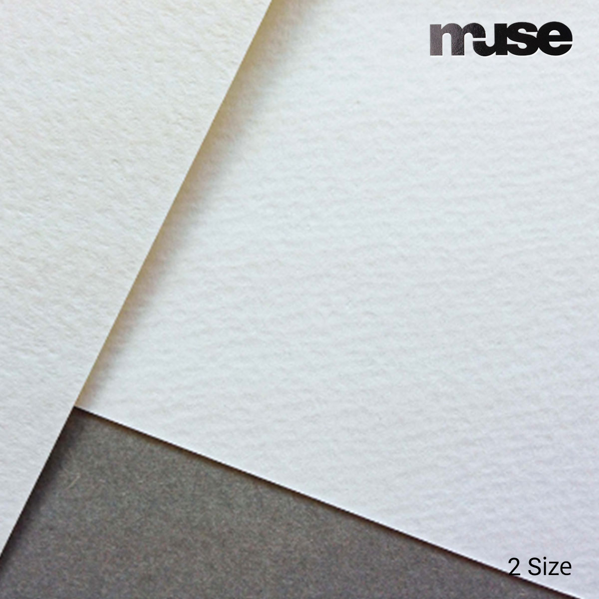 ミューズ サンフラワーM画用紙 特厚口 (170kg/211g)  100枚  (4切/8切)