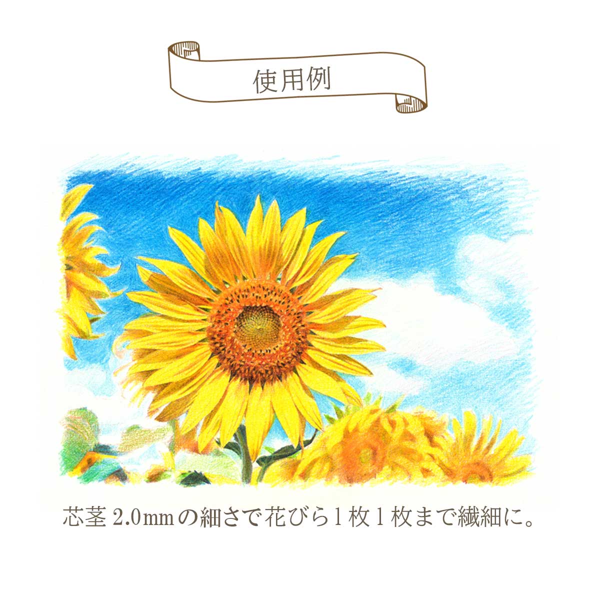 ぺんてる 色鉛筆 Art Multi8 アートマルチエイト ホルダータイプ (単品/セット)