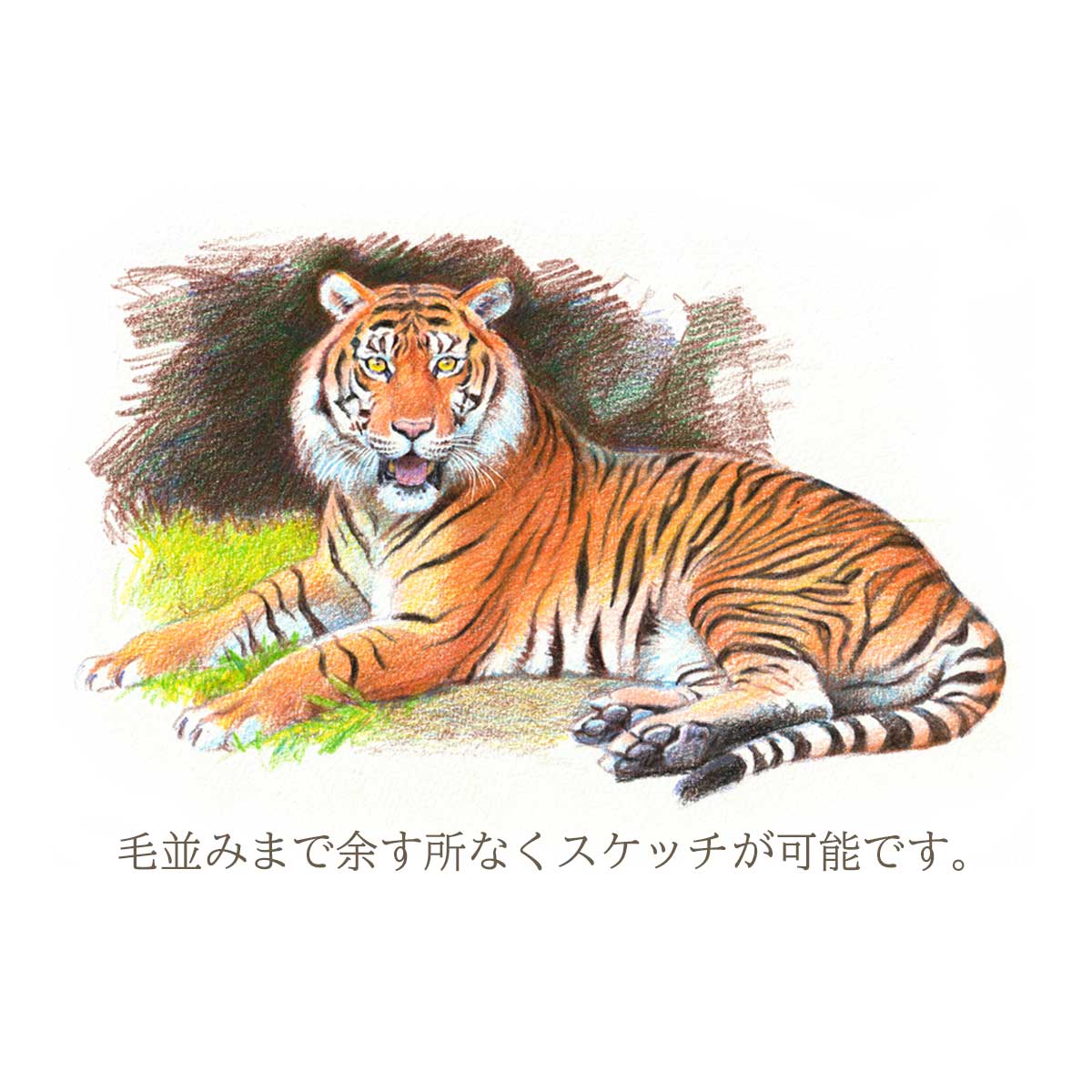 ぺんてる 色鉛筆 Art Multi8 アートマルチエイト ホルダータイプ (単品/セット)