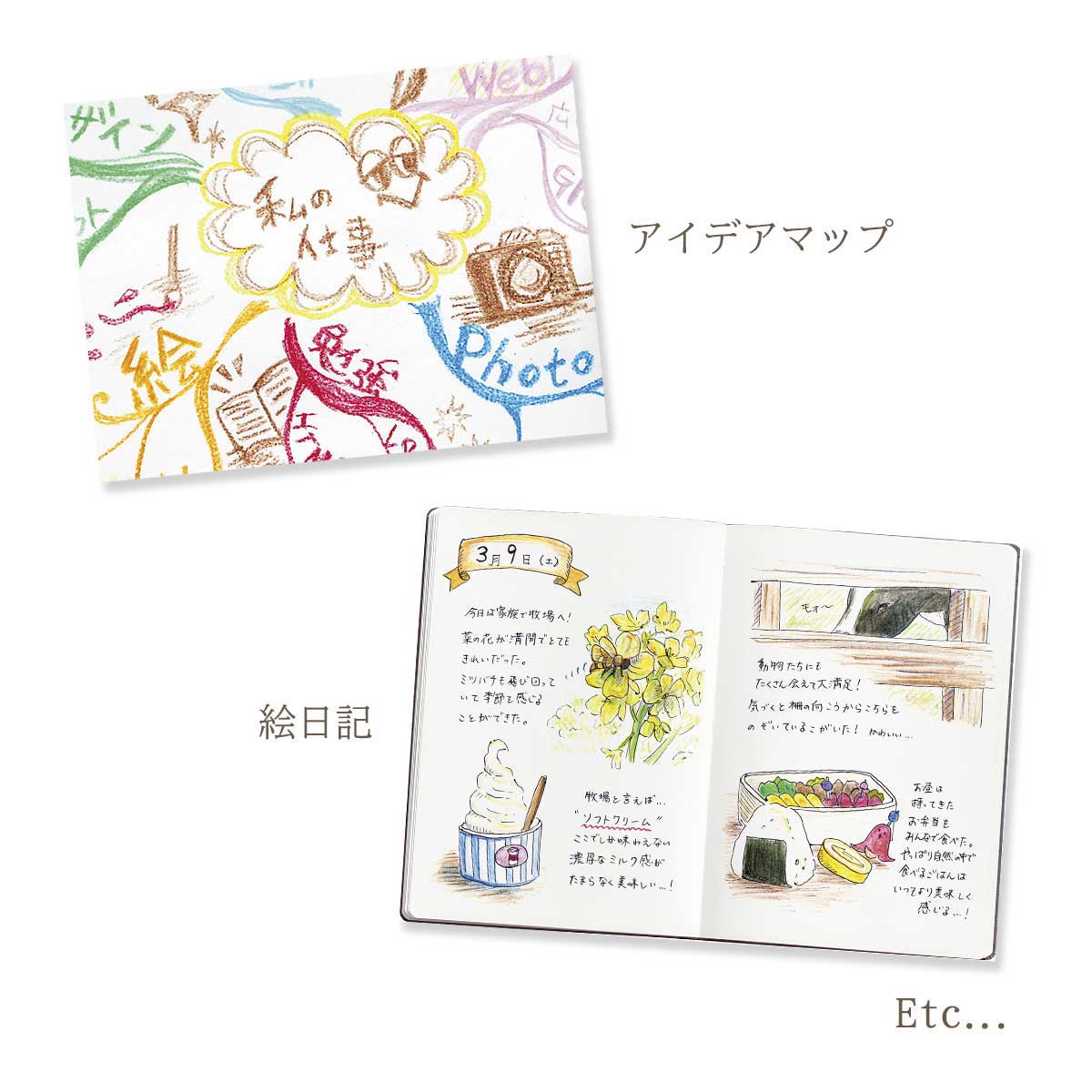 ぺんてる 色鉛筆 Art Multi8 アートマルチエイト ホルダータイプ (単品/セット)