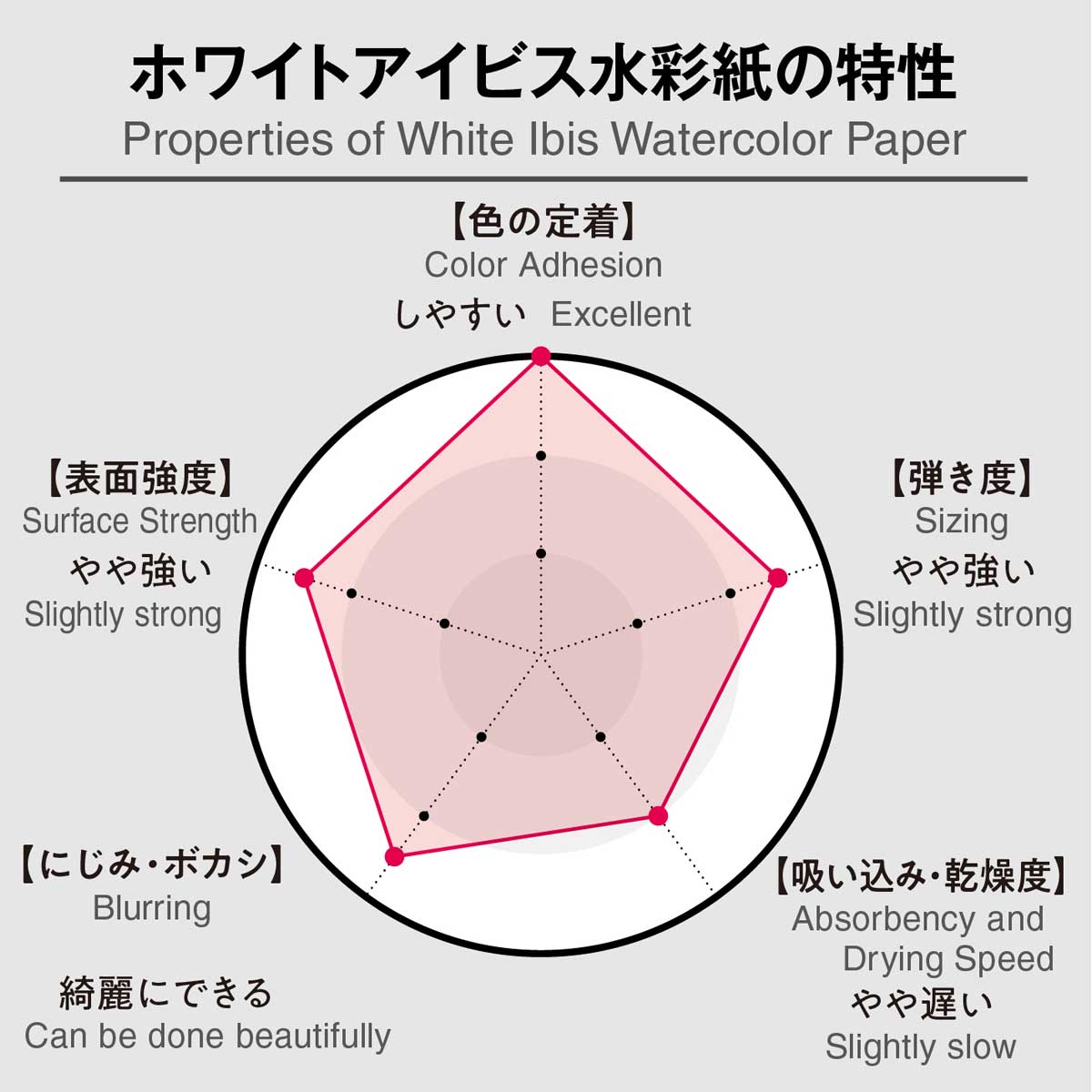 【新商品プライス】ホルベイン ホワイトアイビス水彩紙 細目 ブロック(15枚) 【SM/F4/F6】