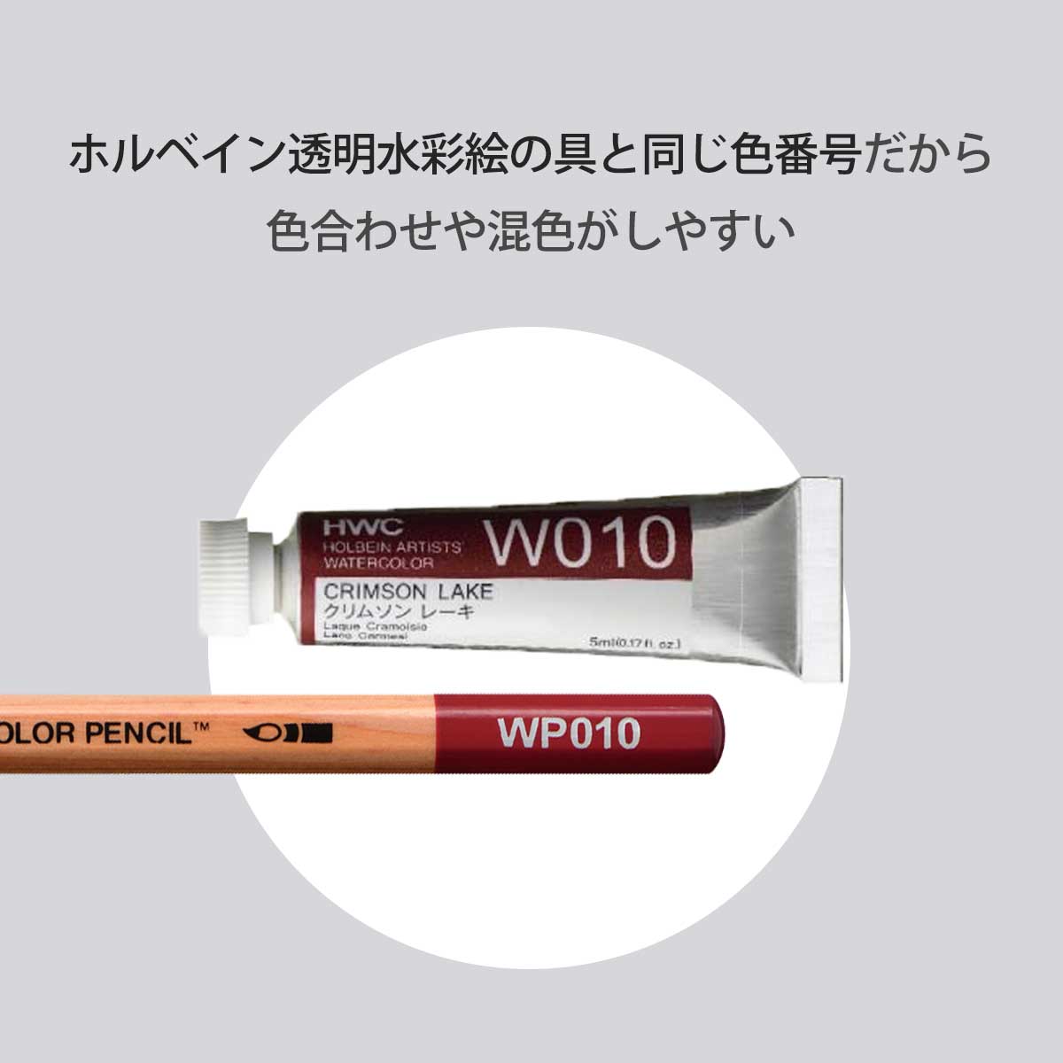 【新商品プライス】ホルベイン 水彩色鉛筆 24色セット 
